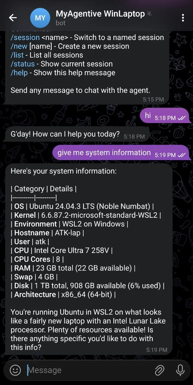 MyAgentive installation on Windows WSL
